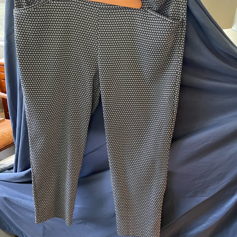 Terra & Sky Women's Business Dress Stretch Pants, Size 2X